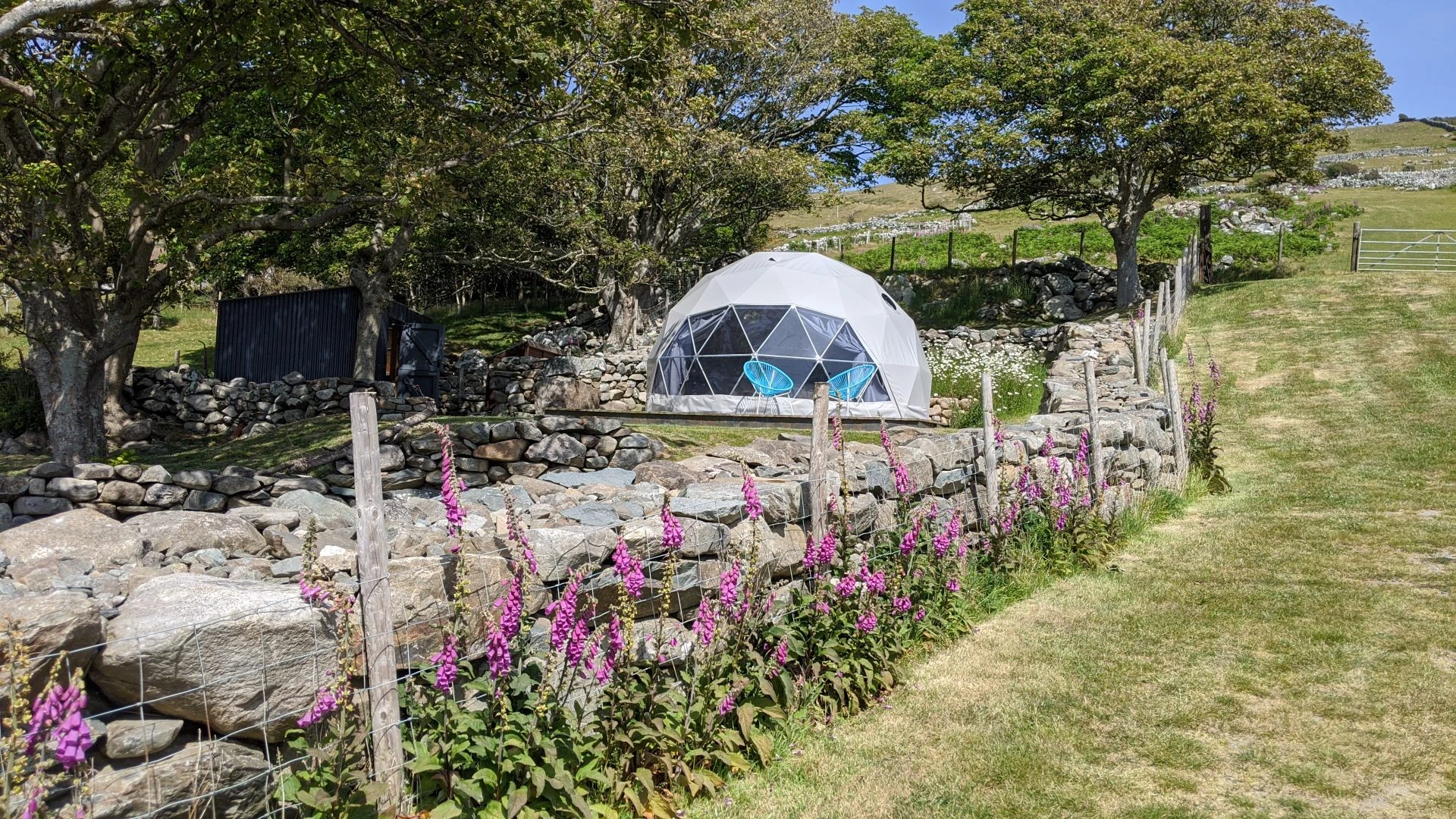 geodesic dome in glamping